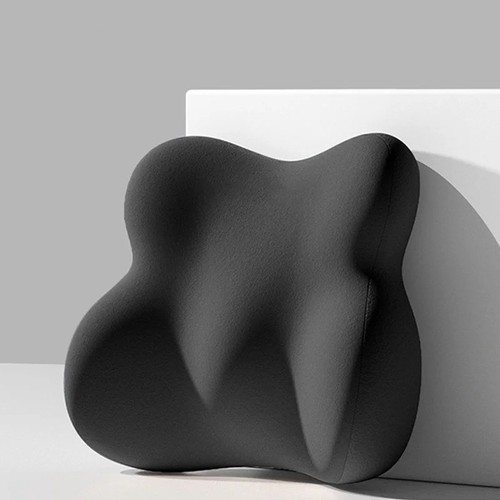 Lumbar back support - support, cushion