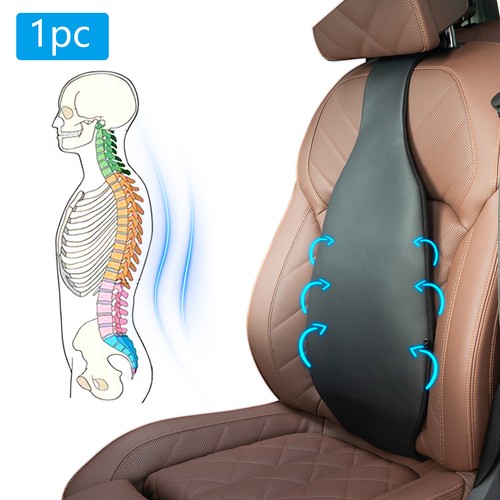 Lower back orthopaedic lumbar - back,