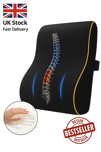 Lumbar back support cushion - back,