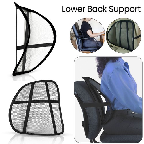 Lower back lumbar - lower,